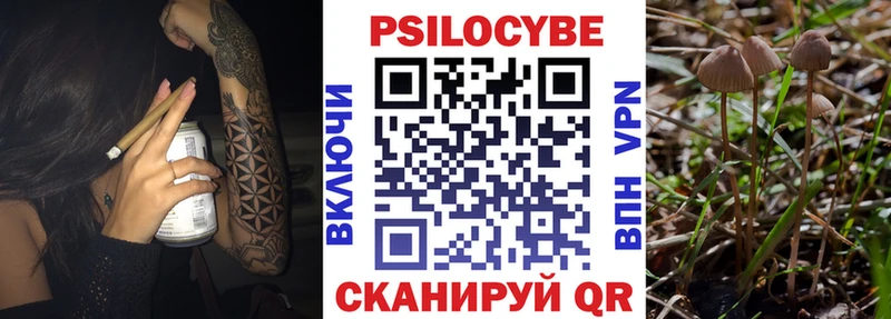 купить наркотик  Мурманск  Галлюциногенные грибы мухоморы 